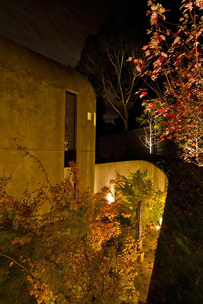 Gardens at Night Project in Focus Outdoor Lighting Hawthorn 6