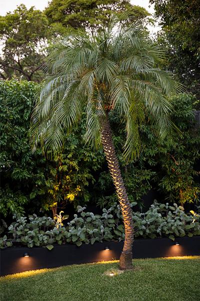 Garden Lighting