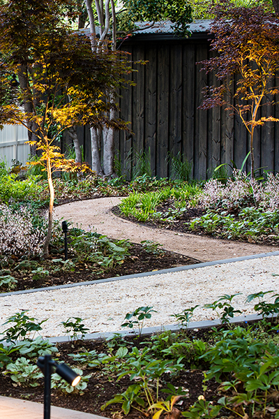 Gardens at Night Project in Focus Deepdene 9