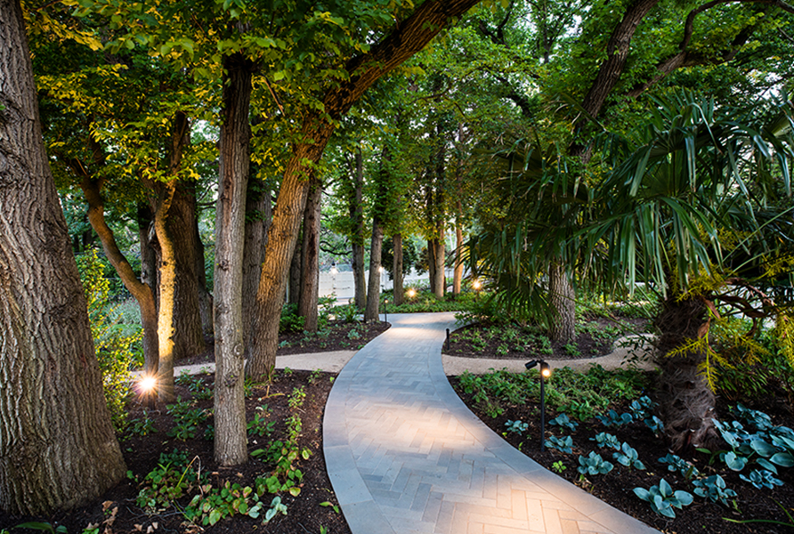 Gardens at Night Project in Focus Deepdene path lighting 6