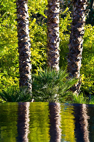 Gardens at Night Project in Focus Outdoor Lighting Hawthorn 1