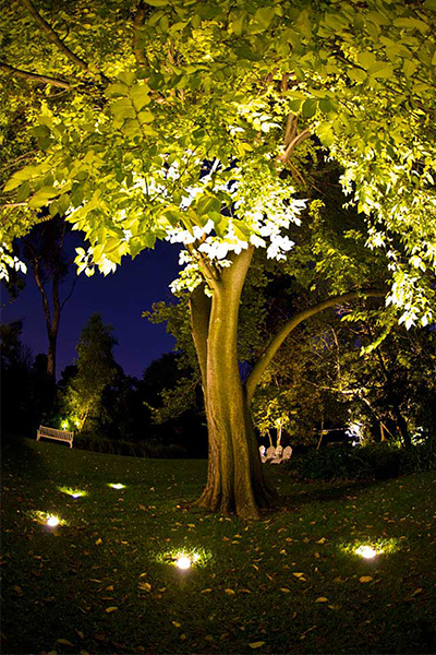 Gardens at Night Project in Focus Outdoor Lighting Hawthorn 5