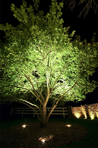 Gardens at Night Project in Focus Outdoor Lighting Mainridge 3