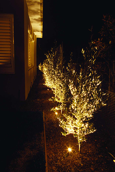 Gardens at Night Project in Focus Outdoor Lighting Portsea 2