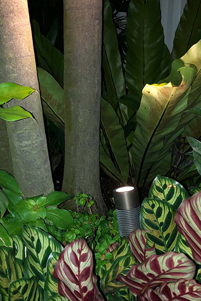 Gardens at Night Singapore Garden Festival 2018 accent lighting