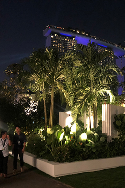 Gardens at Night Singapore Garden Festival 2018 outdoor lighting