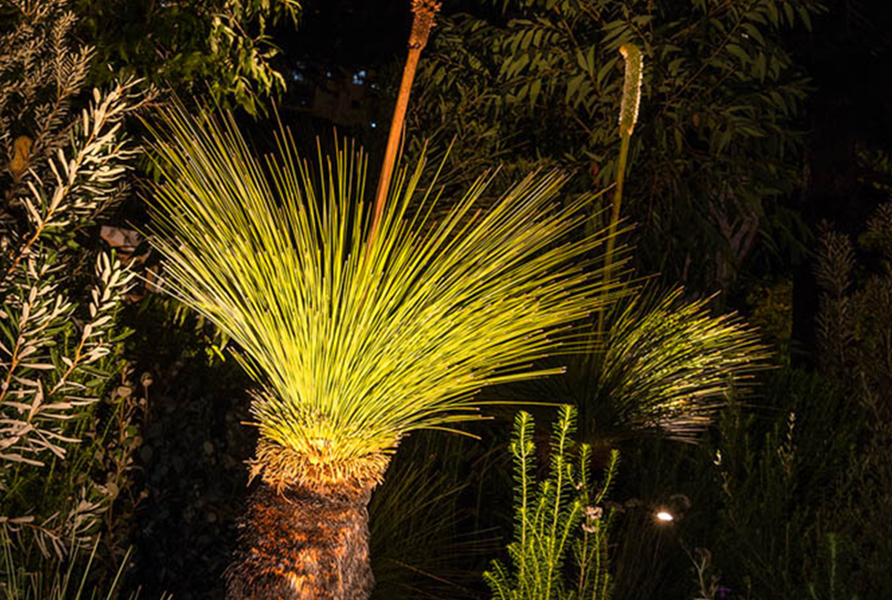 MIFGS 2018 Gardens by Twilight Gardens at Night 16