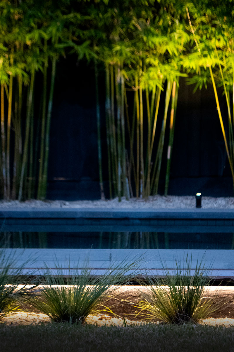 gardens at night linear and accent lights in pool side landscape
