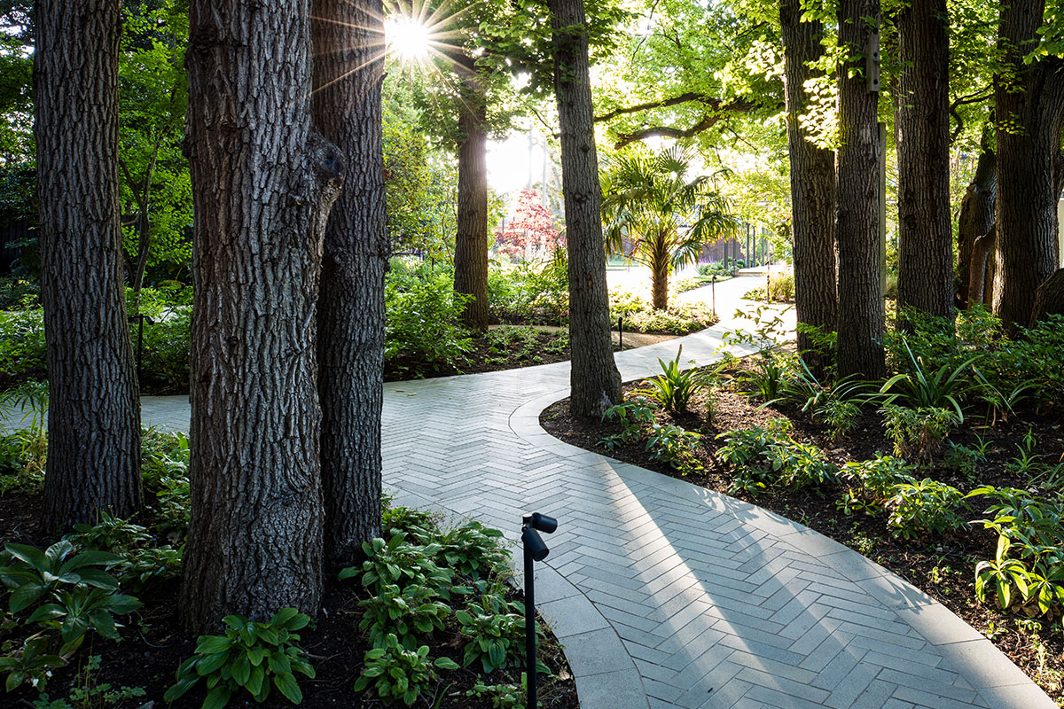 Gardens at Night adjustable pole light twin in picturesque Deepdene landscape by Ian Barker Gardens