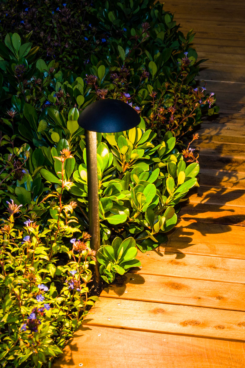 Melbourne flower and garden show path lighting by gardens at night illuminating a garden