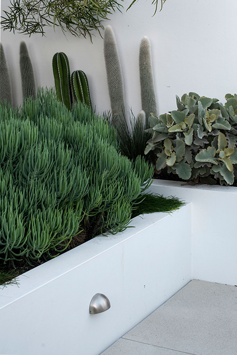 Gardens at Night step light installed on white wall in garden