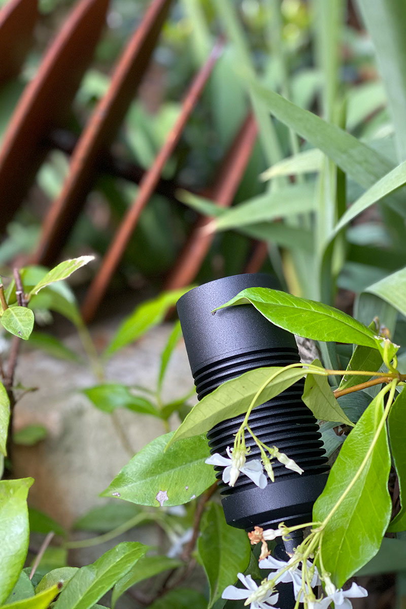 Gardens at Night accent light in landscaped garden adelaide