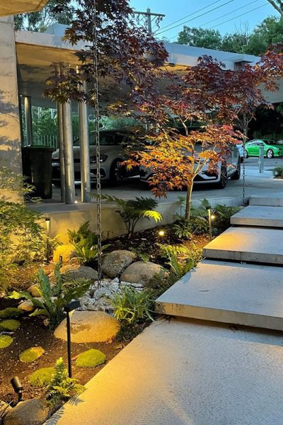 Gardens at Night path and accent lights illuminating garden at night