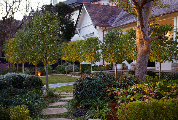 Gardens-at-Night_Landscape-Lighting_Outdoor-Lighting_Australia Inspired Exteriors