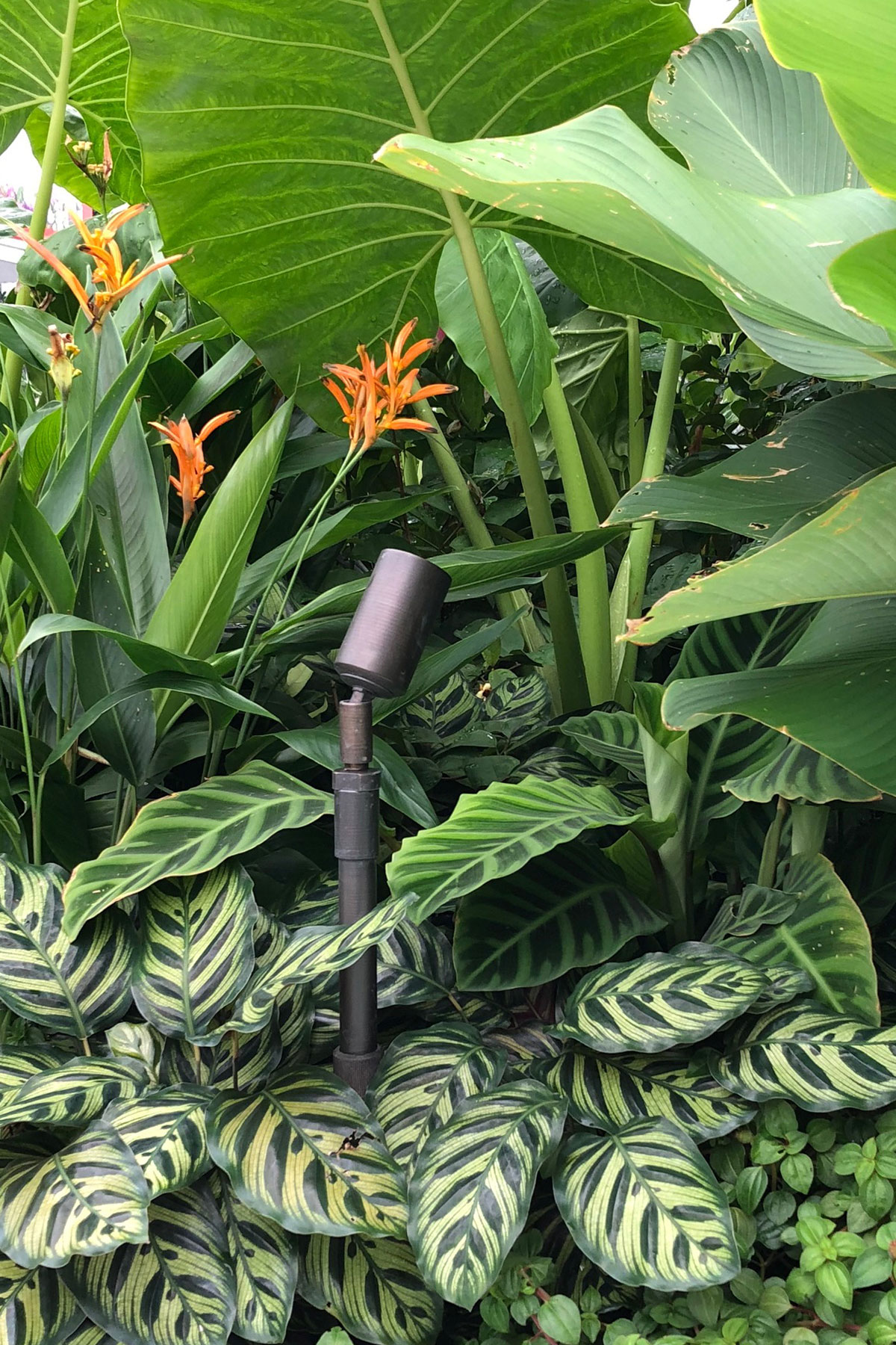 Gardens at Night riser accessory on accent light in bronze in landcaped garden by Myles Baldwin singapore garden festival