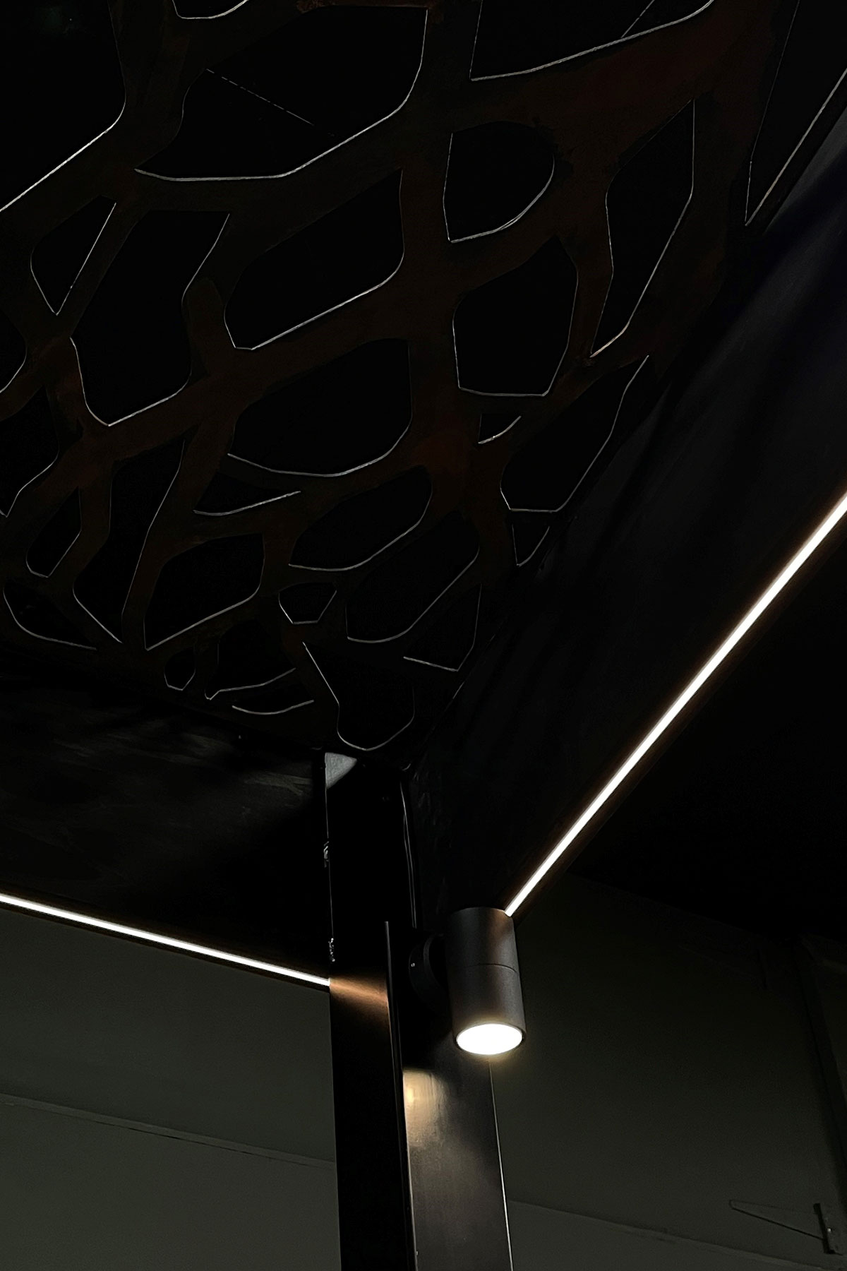 Gardens at Night wall light down in black illuminating pergola