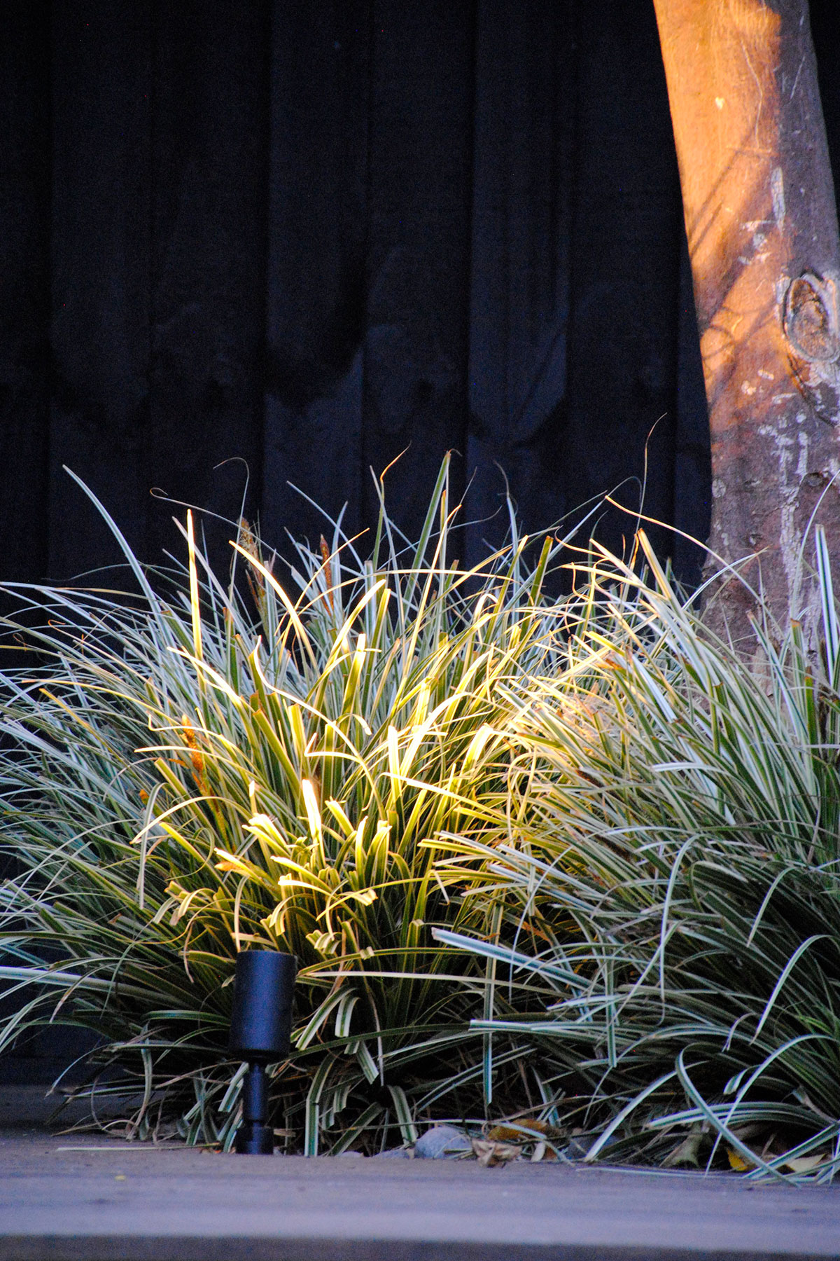 Gardens at Night Accent Light Spike Light illuminating garden bed in landscaped garden