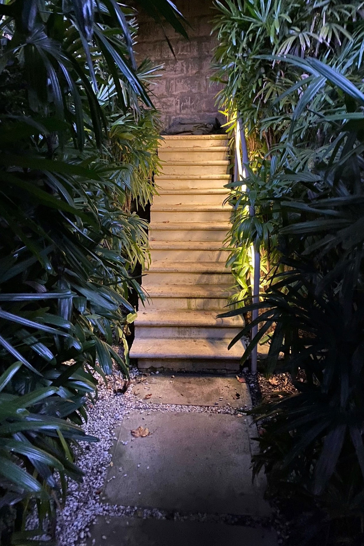 Gardens at Night neon side flex led strip lighting illuminating staircase in landscaped garden