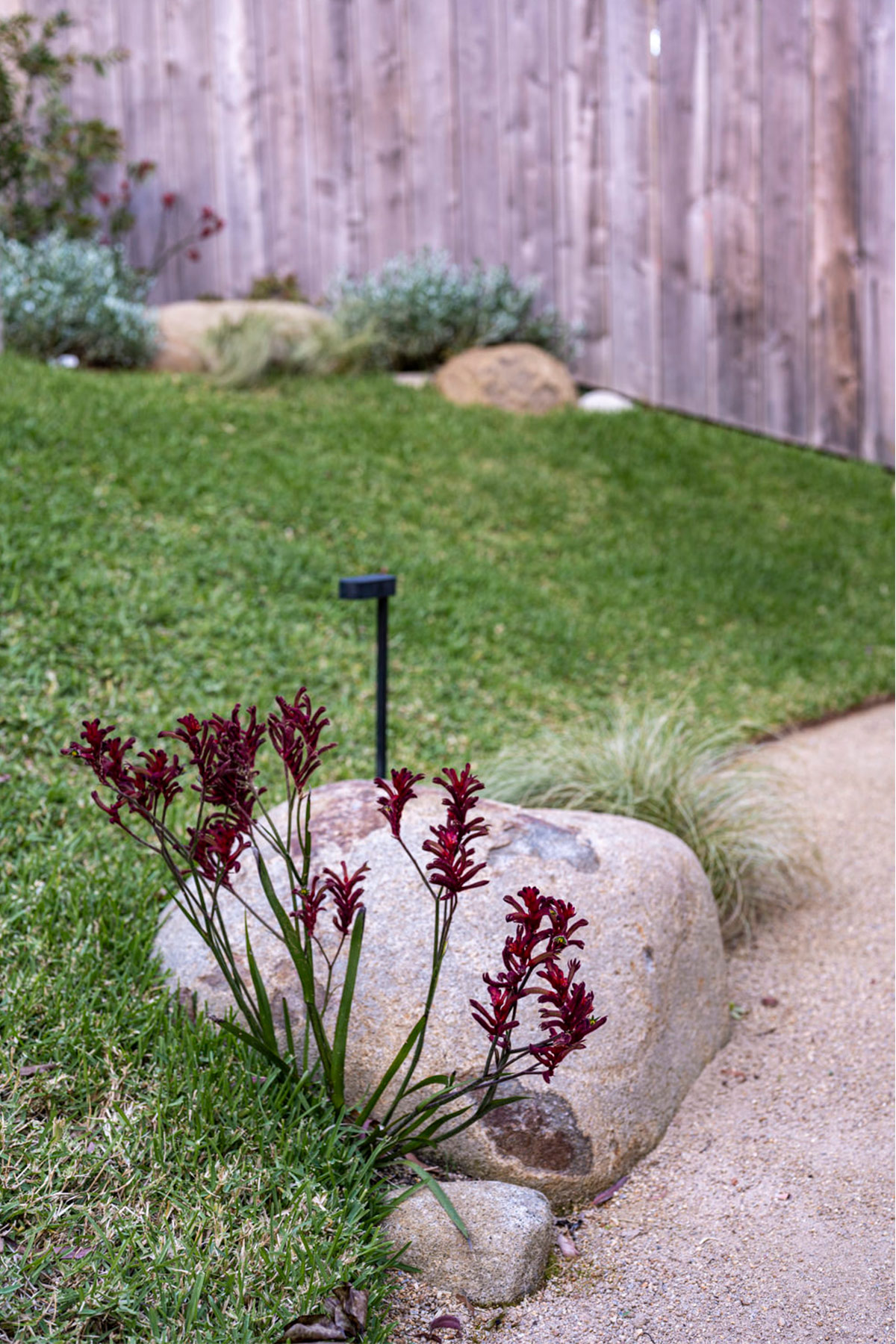 Gardens at Night Path Light Linear in a Kihara Landscapes Design