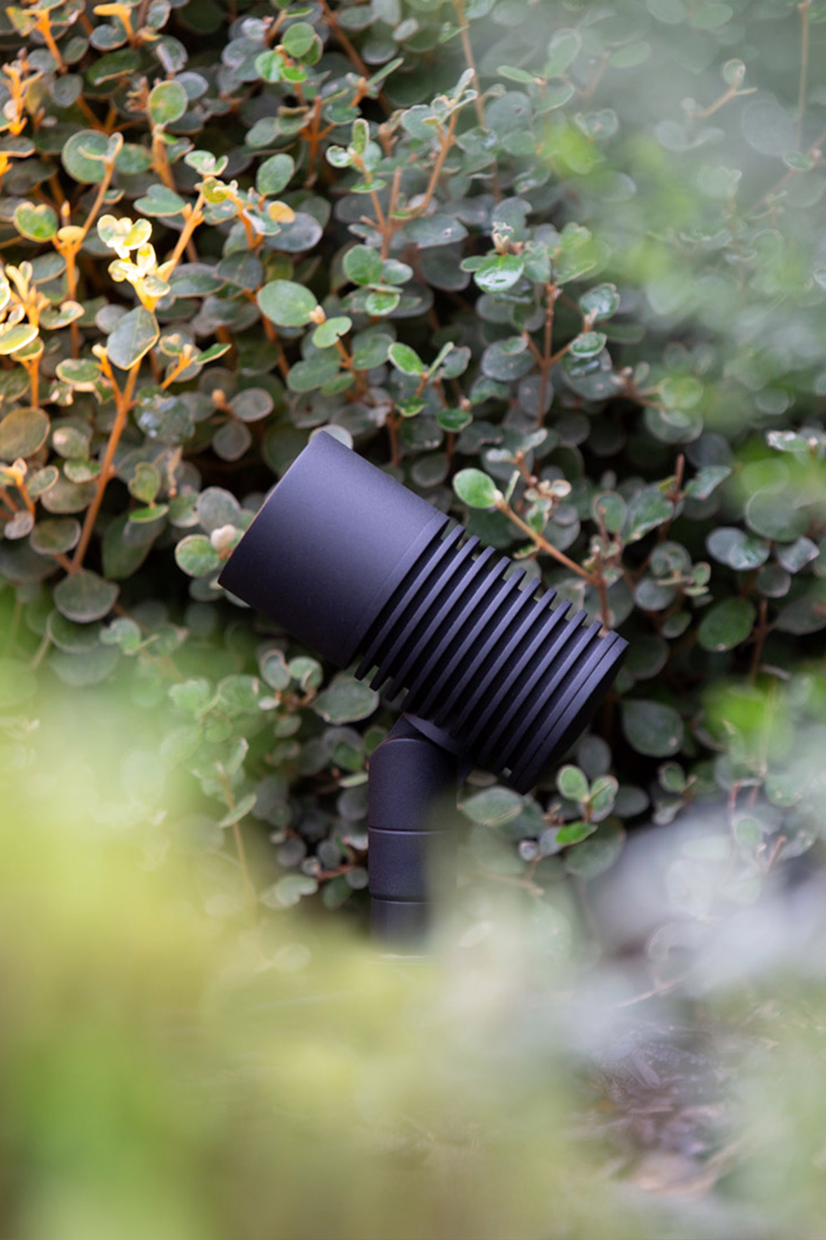 Gardens at Night Accent Light 11. Landscape Design Aspire Gardens. Photo by Stephen Laurence Photography