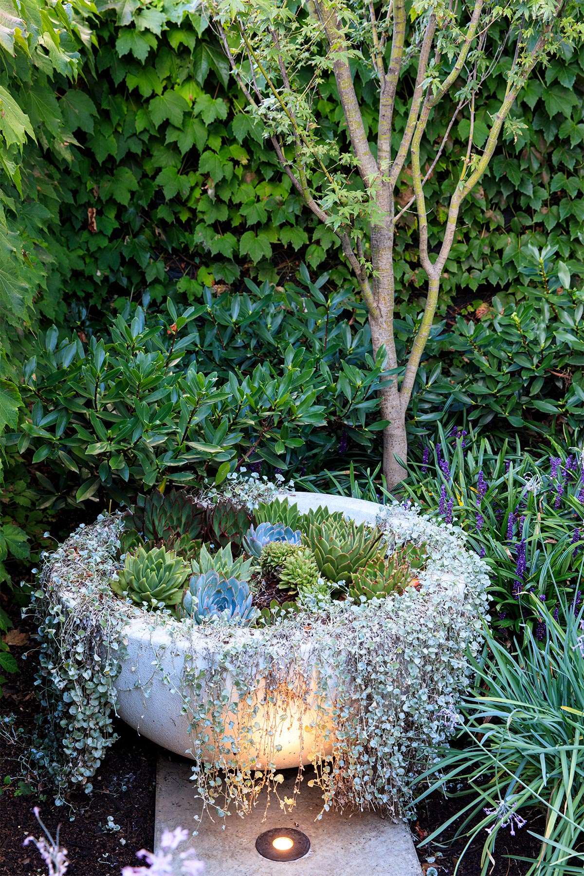 Gardens-at-Night-Inground-Path-Lighting-Ian-Barker