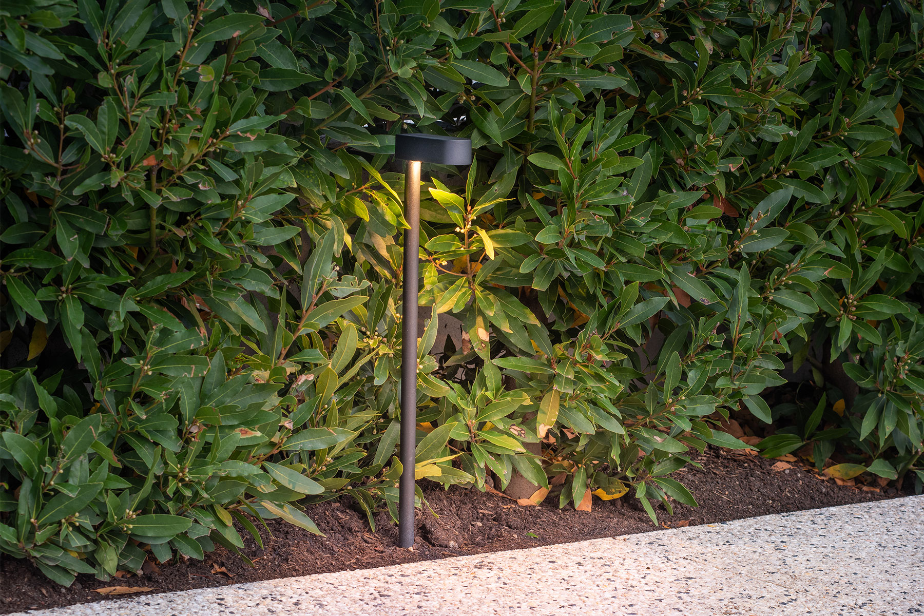 Gardens at Night Path Light Linear