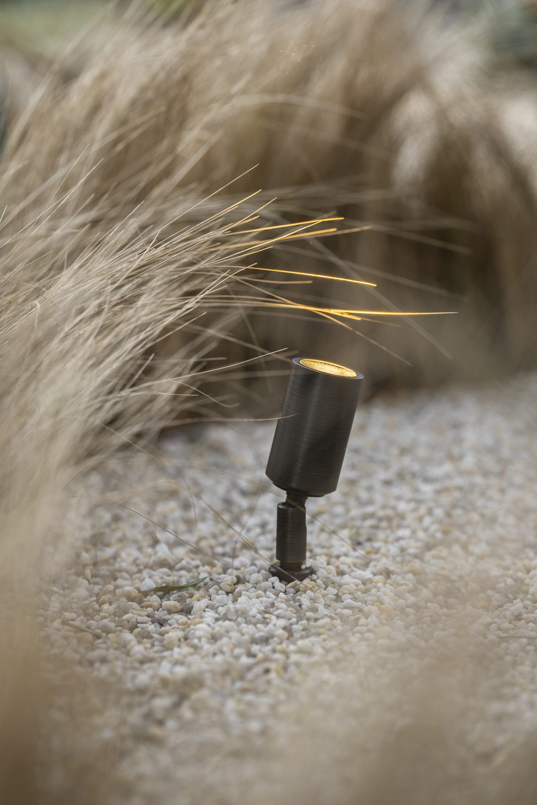 Accent Light 5 Bronze supplied by Gardens at Night for Bronni Skinner lighting outdoor garden grasses coastal