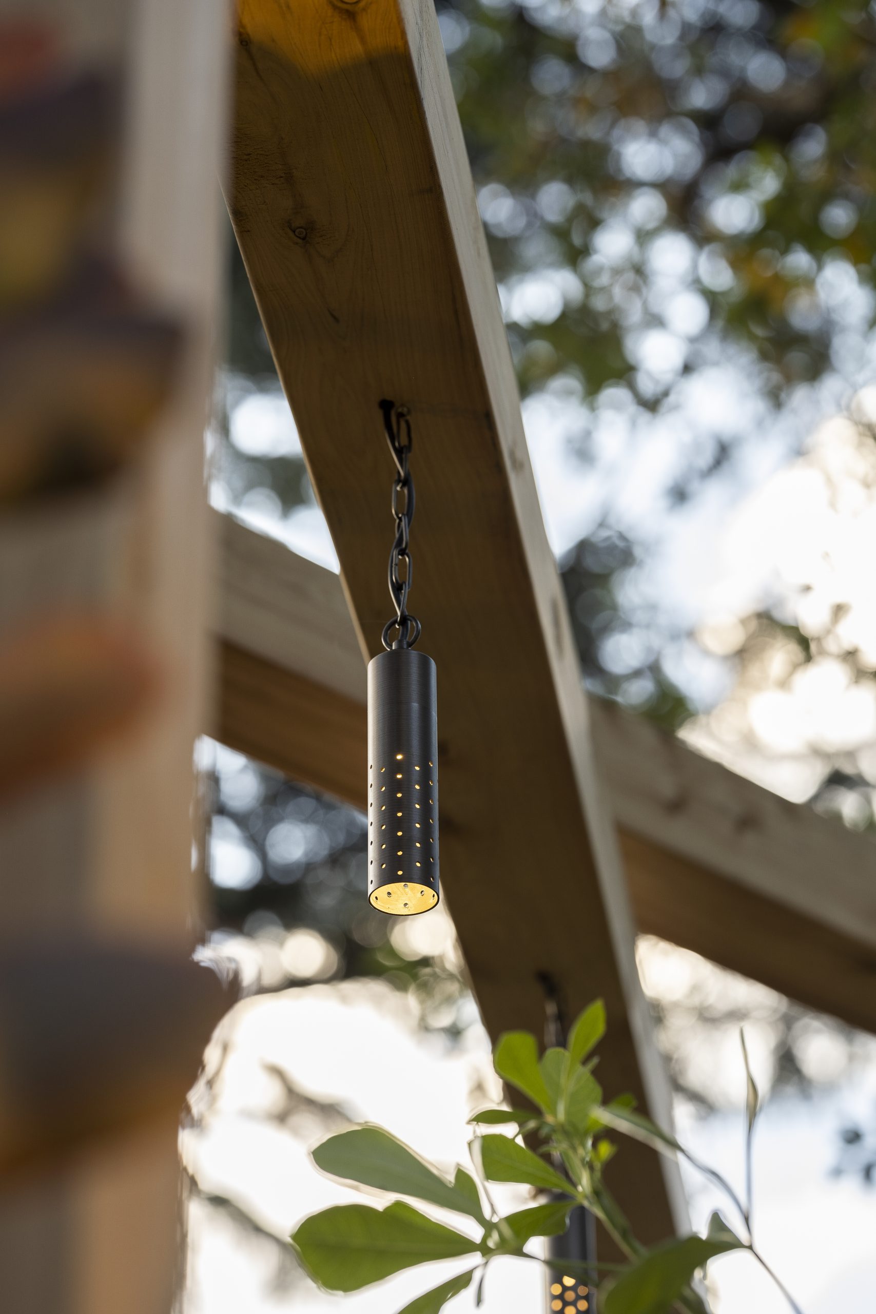 Hanging Light Speckle 5 Bronze supplied by Gardens at Night for Riley Cooper lighting outdoor timber arbour