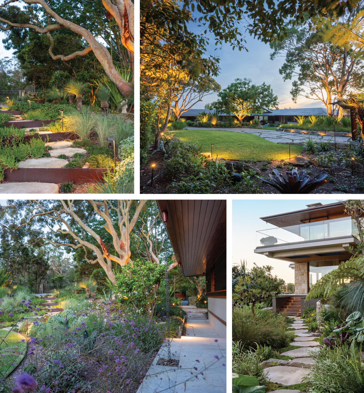 Image of Nelson Thomas property at Castlecrag with Gardens at Night lighting